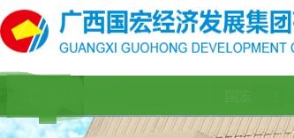 廣西國宏集團(tuán)董家政簡歷，陳海波、李倩、羅勇、唐建琦、覃銘、鐘麗、白衛(wèi)夫、鄒煥鑫領(lǐng)導(dǎo)班子